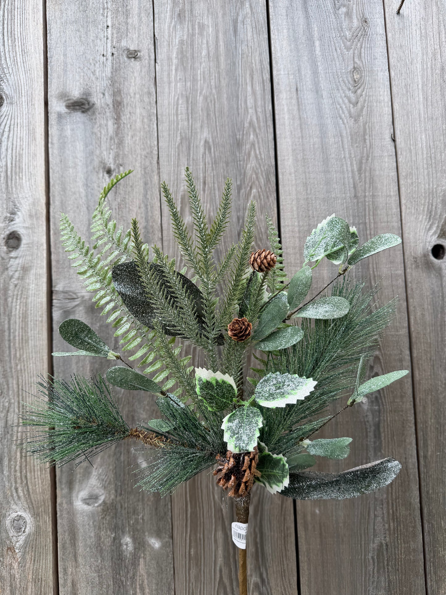 Frn PineCone Spray   41157