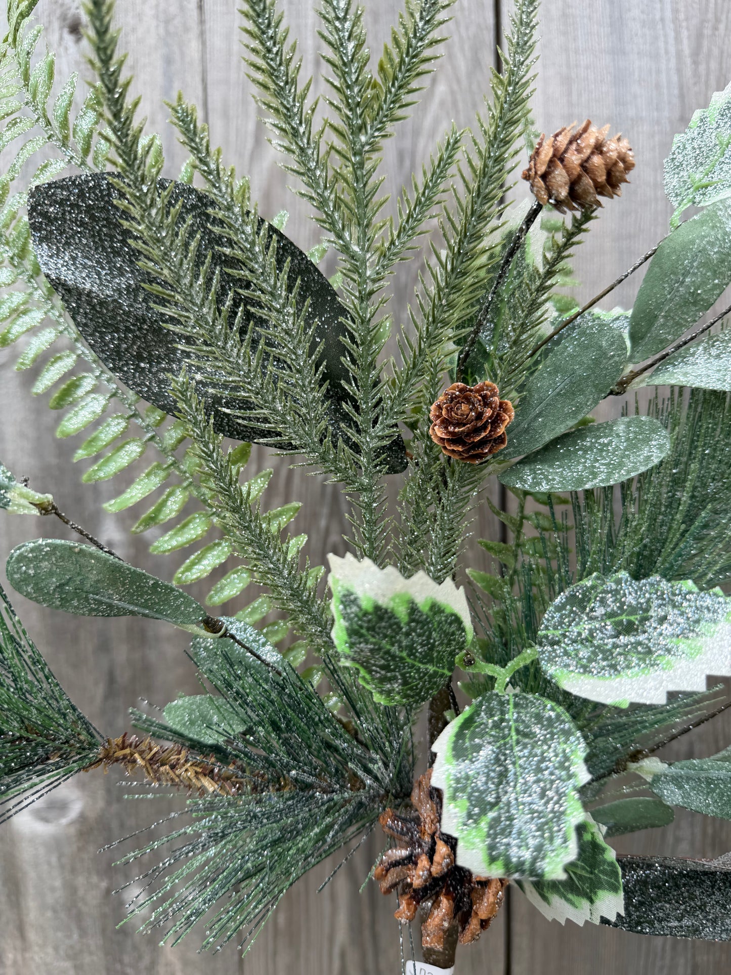 Frn PineCone Spray   41157