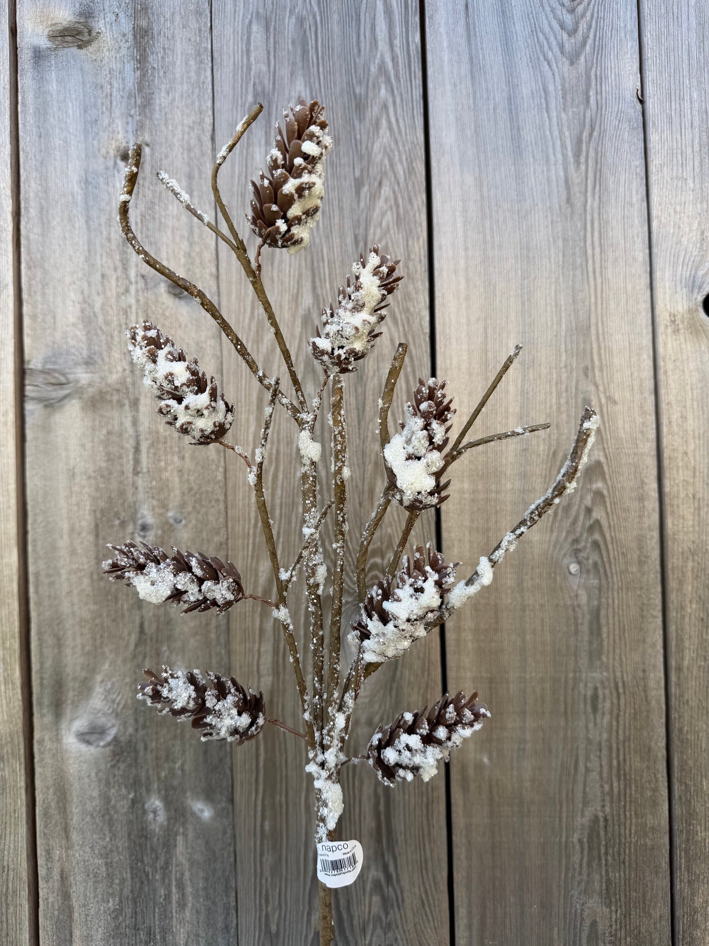 Frst Pine Cone Spray    41718