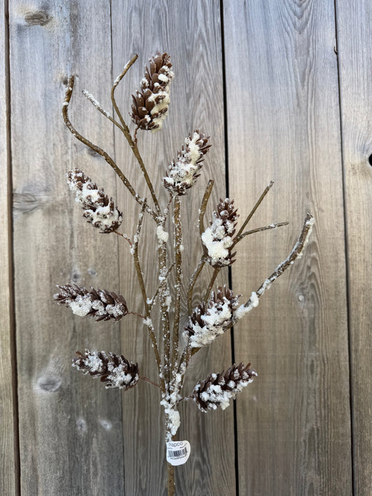 Frst Pine Cone Spray    41718