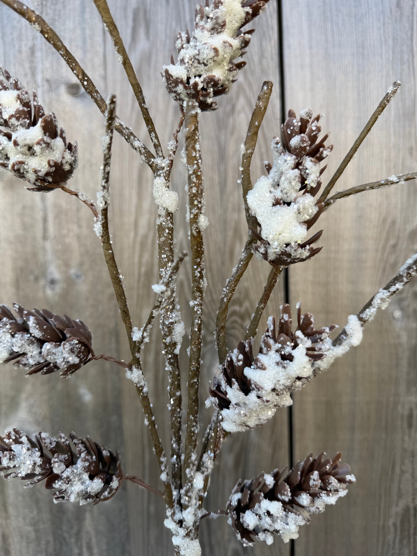 Frst Pine Cone Spray    41718