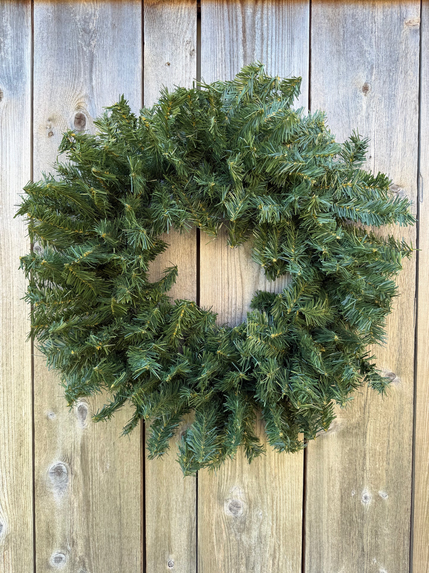 CANADIAN PINE 2   CV024