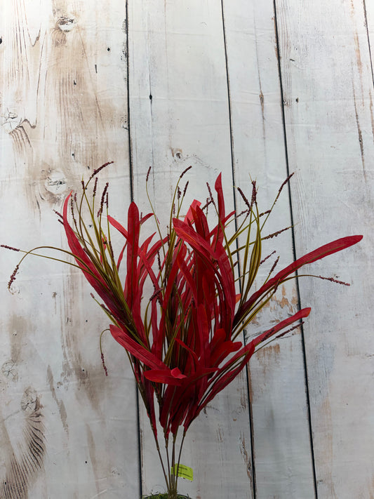 Silk Grass Bush   SB552293-086