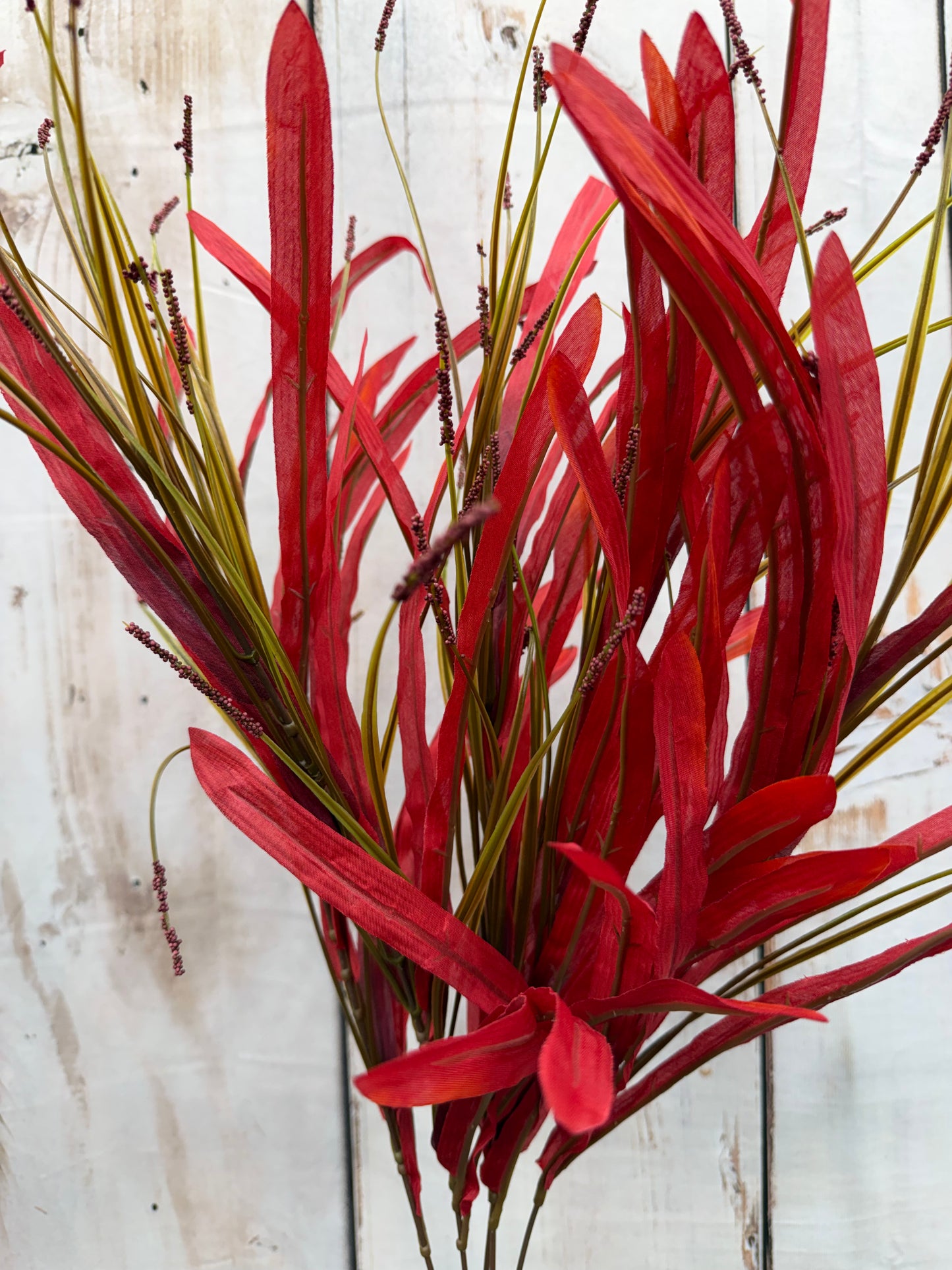 Silk Grass Bush   SB552293-086