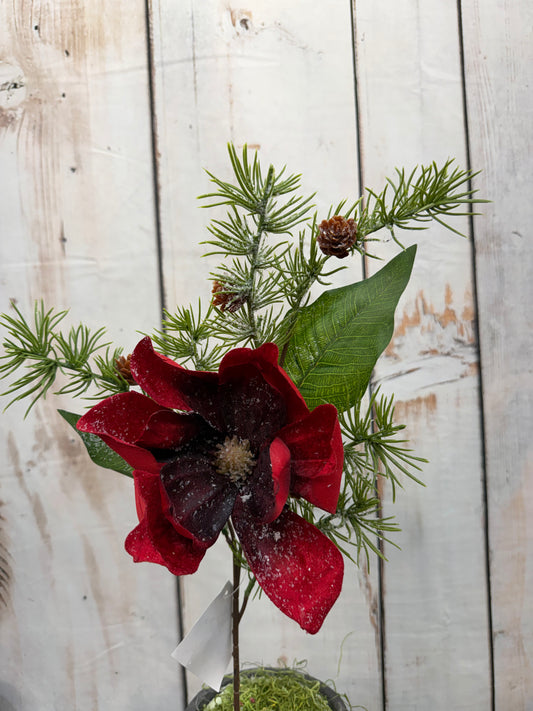 Magnolia Spray W/PVC RED    XP61438-002