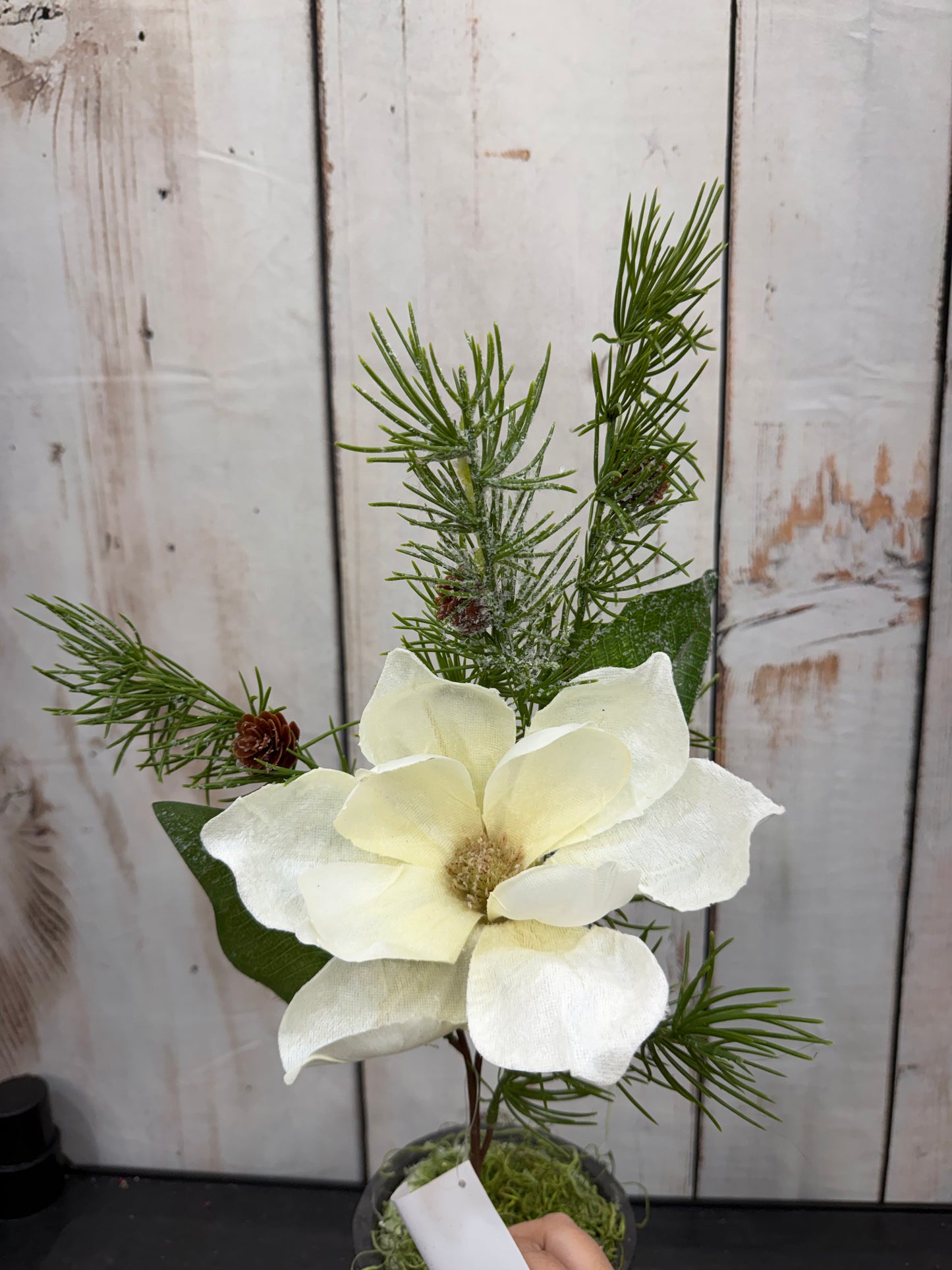 Magnolia Spray W/PVC WHITE      XP61438-003