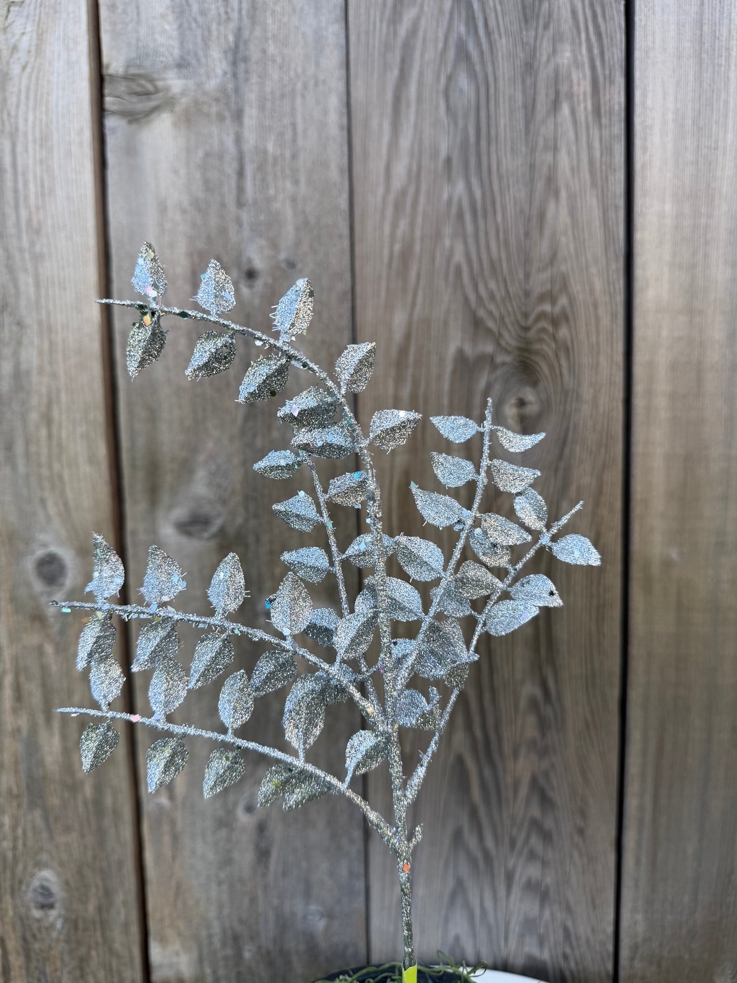 LAUREL FERN PICK H14   XP55875-110