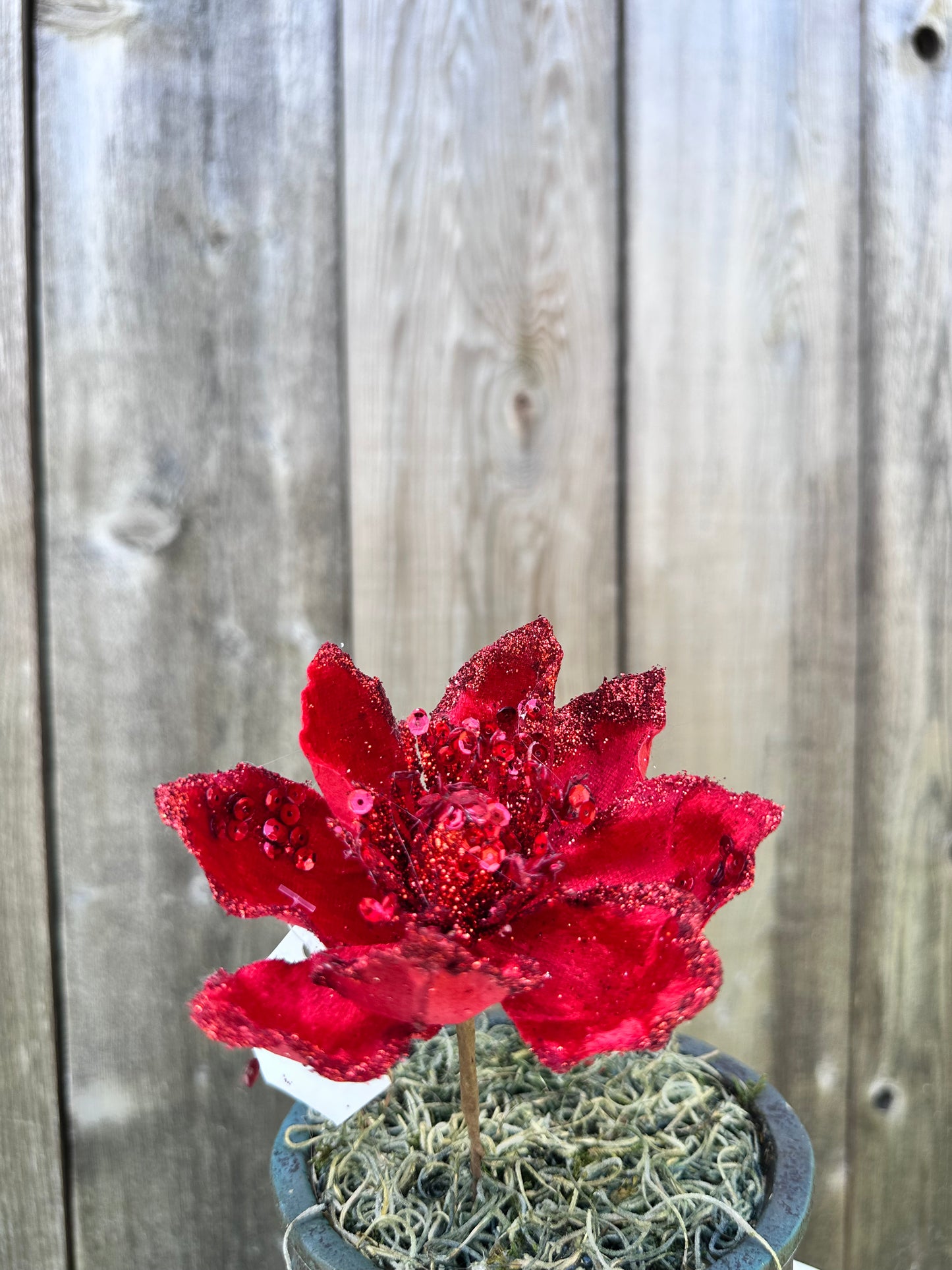 Red Velvet Poinsettia Pick   XP83132-002