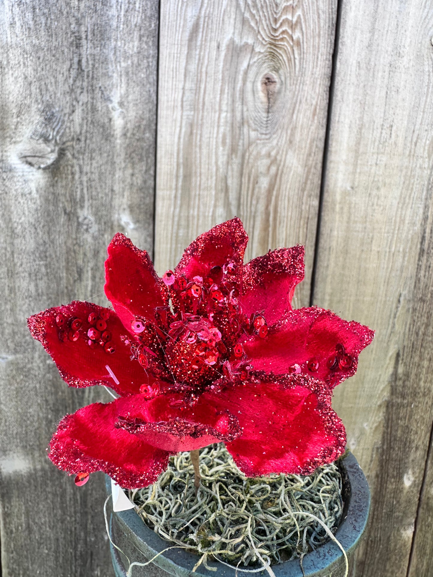 Red Velvet Poinsettia Pick   XP83132-002