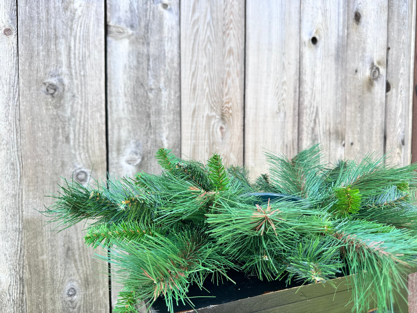 26" MIX PINE CENTERPIECE   XP781295-063