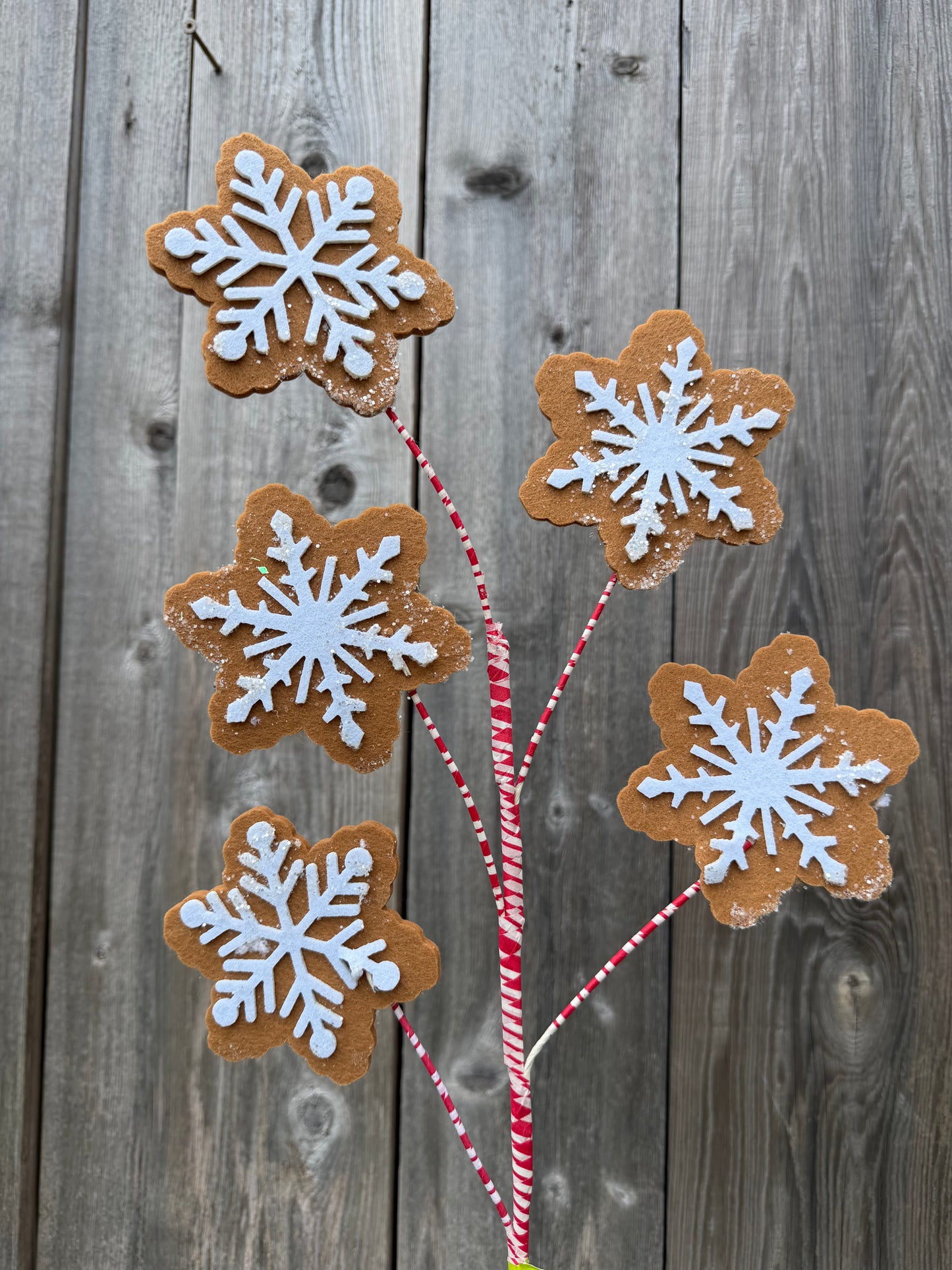 Snowflake Cookie Spray    85470WT