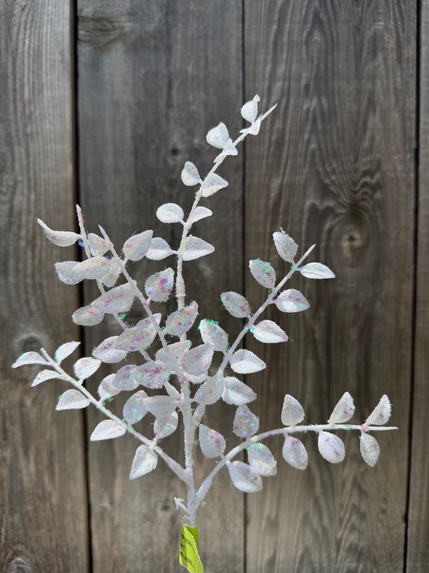 Laurel Fern Pick H14 WHITE   XP55875-003
