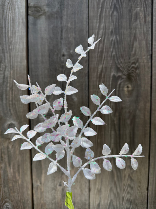 Laurel Fern Pick H14 WHITE   XP55875-003