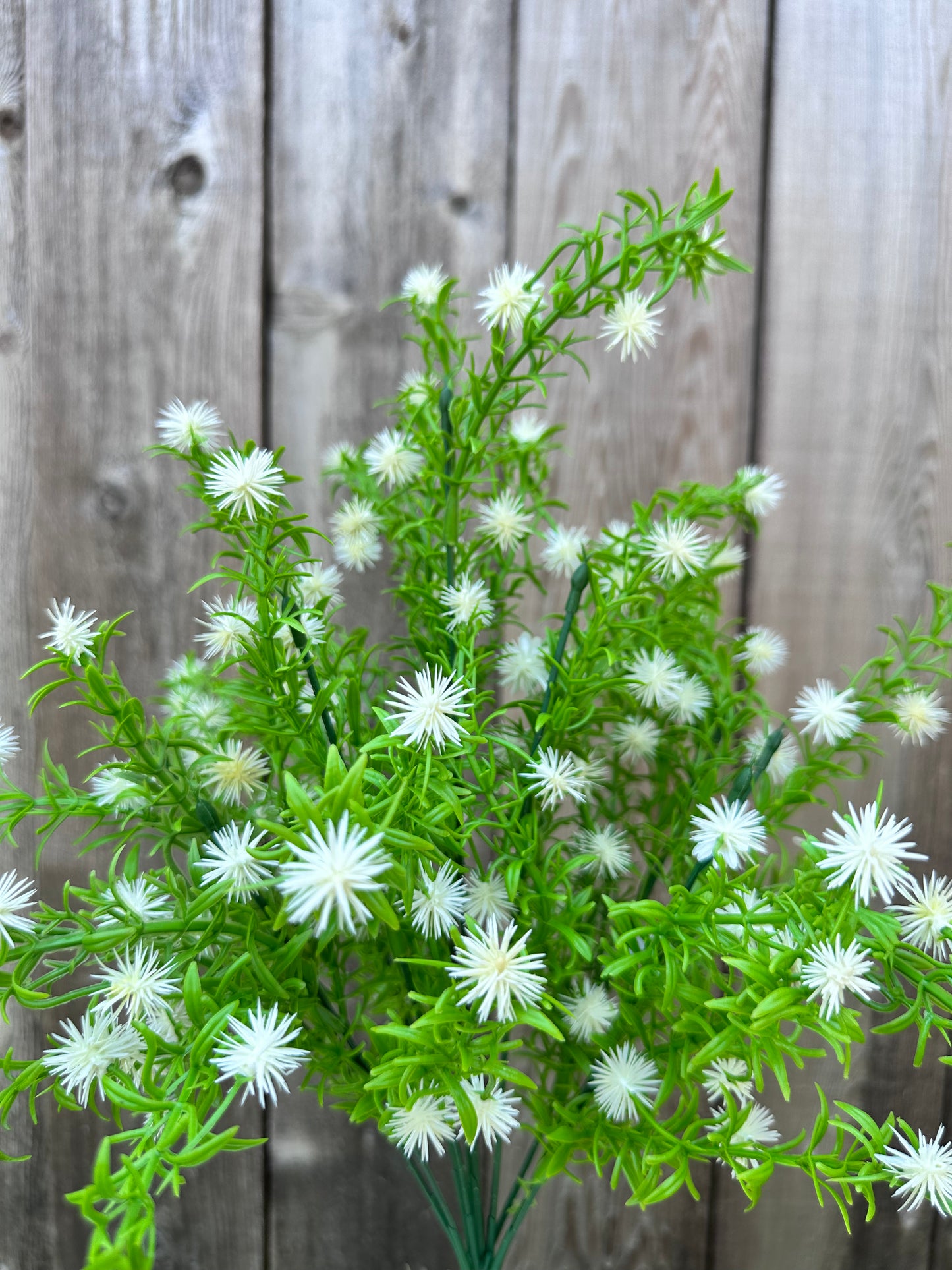 MINI XANTHIUM PLASTIC   84238