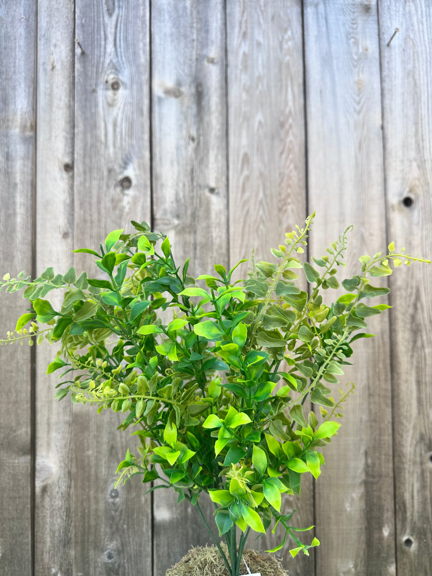 MIXED PLASTIC BUSH (Orange Jasmine) 84648