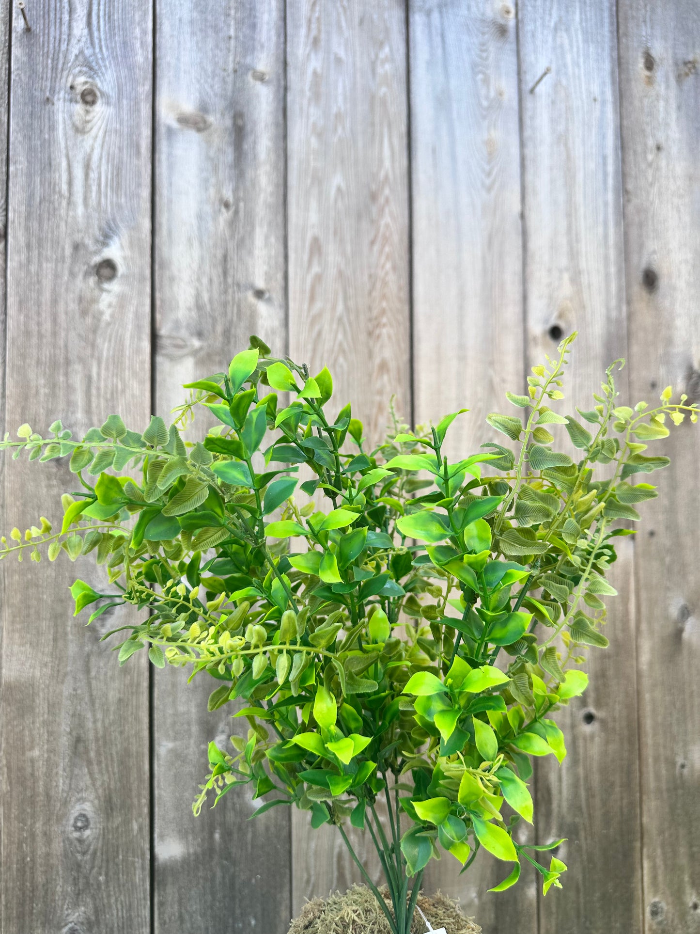 MIXED PLASTIC BUSH (Orange Jasmine) 84648