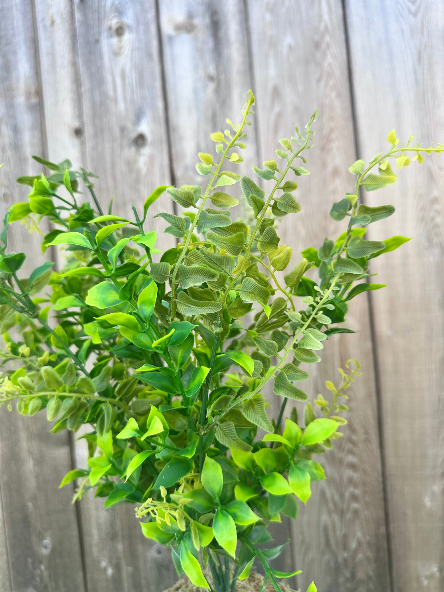 MIXED PLASTIC BUSH (Orange Jasmine) 84648