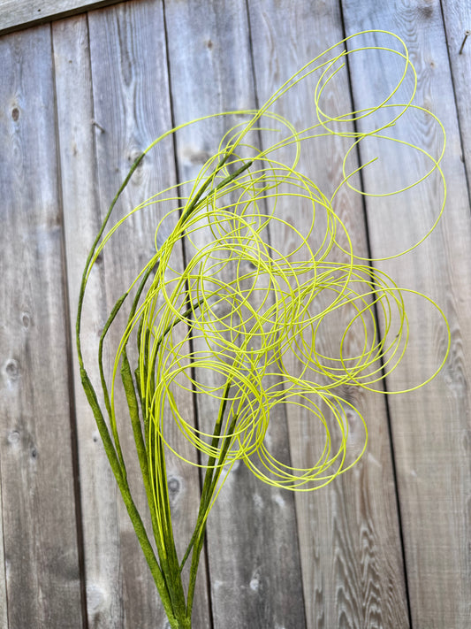 TWIG   53952-GN