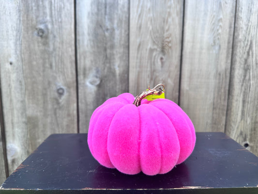 Flocked Pumpkin  56954 HotPink