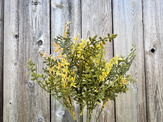 Chick weed bush mustard  F3021MU