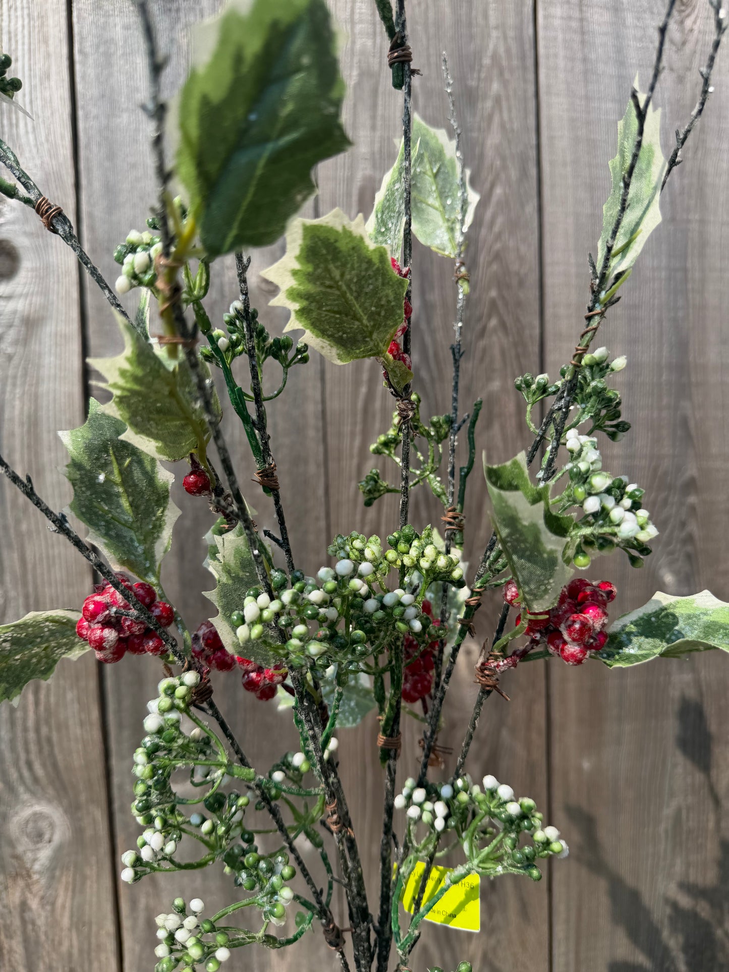 Icy Lvs Berry Bush    85211BU36