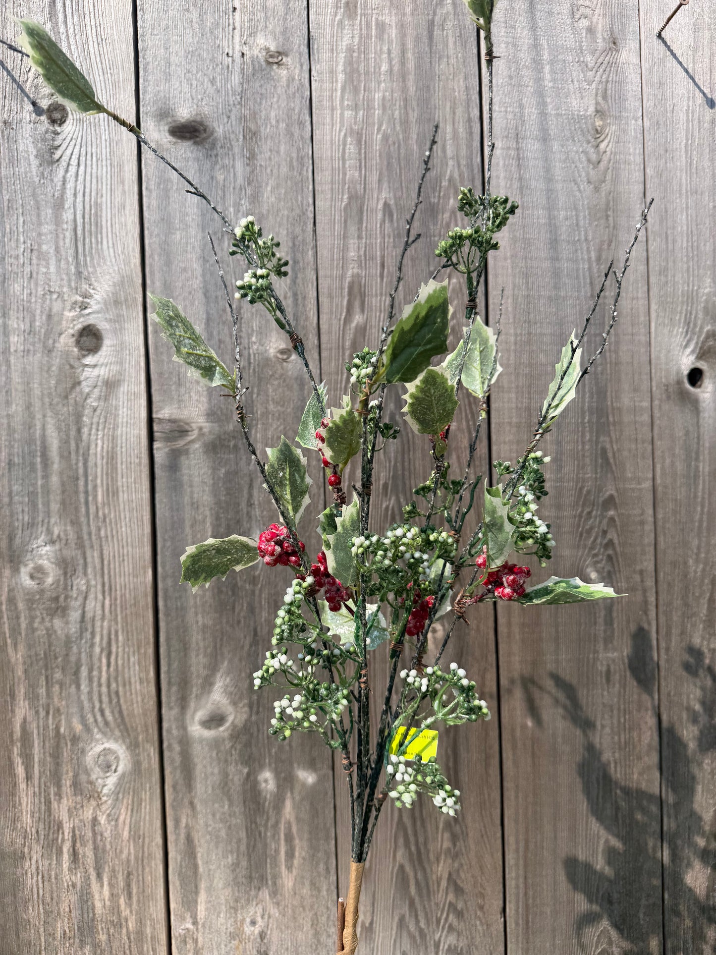Icy Lvs Berry Bush    85211BU36