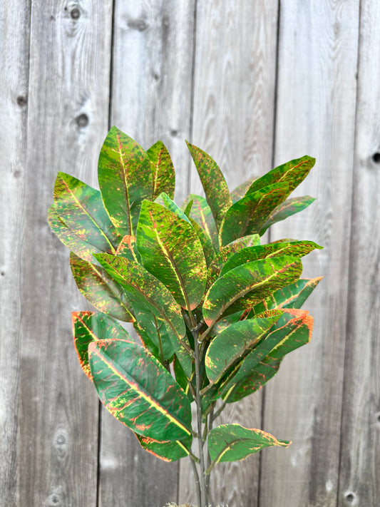 CROTON LEAF CS12764