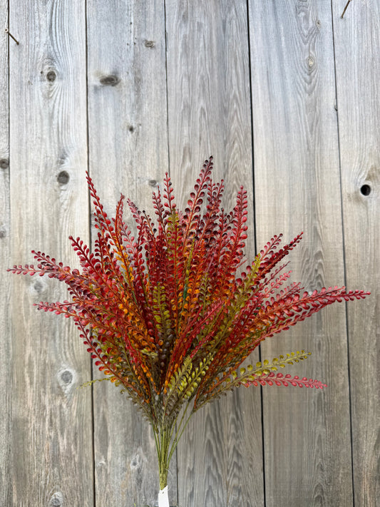 FERN BUSH    32318