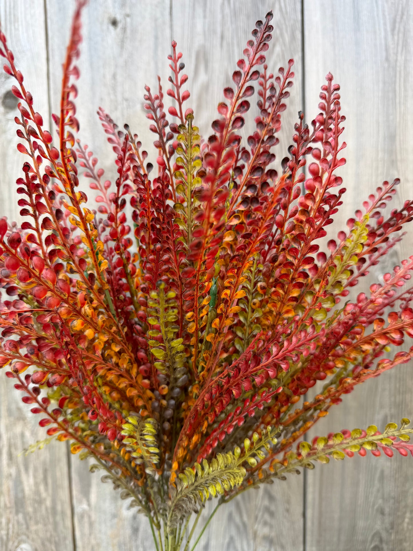 FERN BUSH    32318