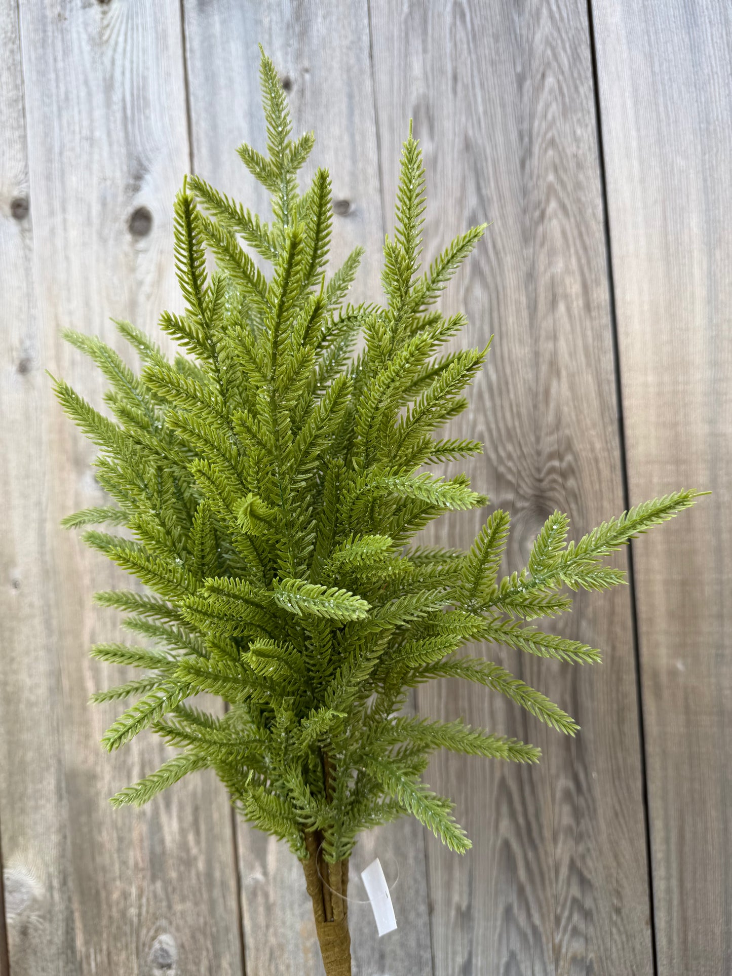 22 IN FROSTED NORFOLK PINE   65888-LT.GN