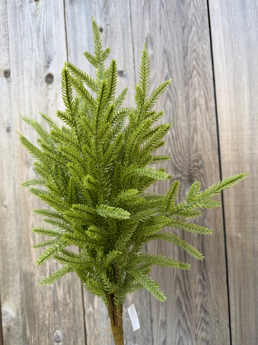 22 IN FROSTED NORFOLK PINE   65888-LT.GN