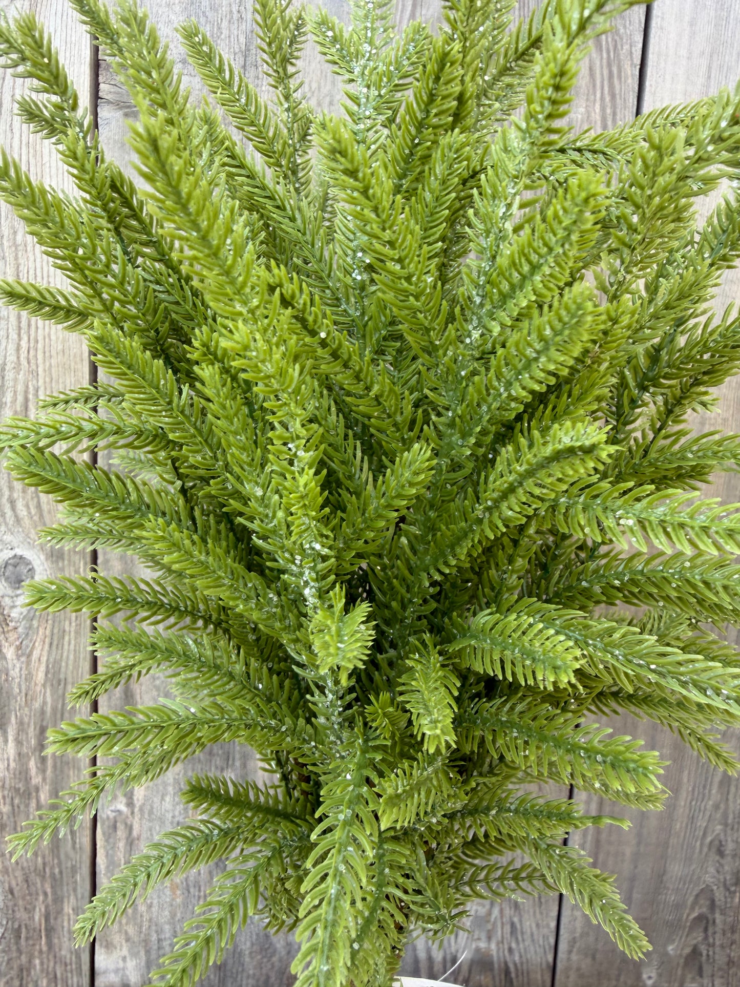 22 IN FROSTED NORFOLK PINE   65888-LT.GN