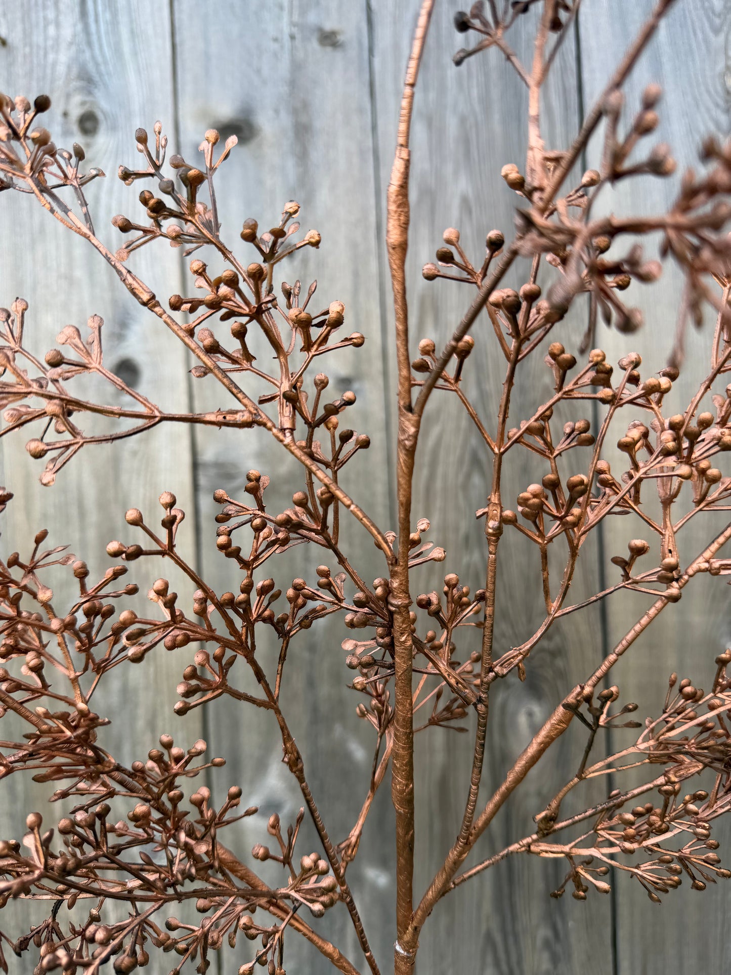 33 IN EUCALYPTUS SEED SPRAY   65746-COPPER