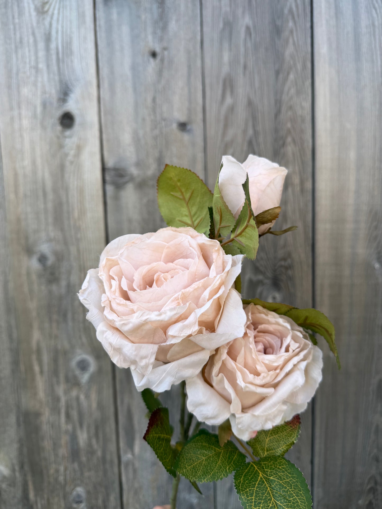 26 IN ROSE SPRAY X 3   40492-BE