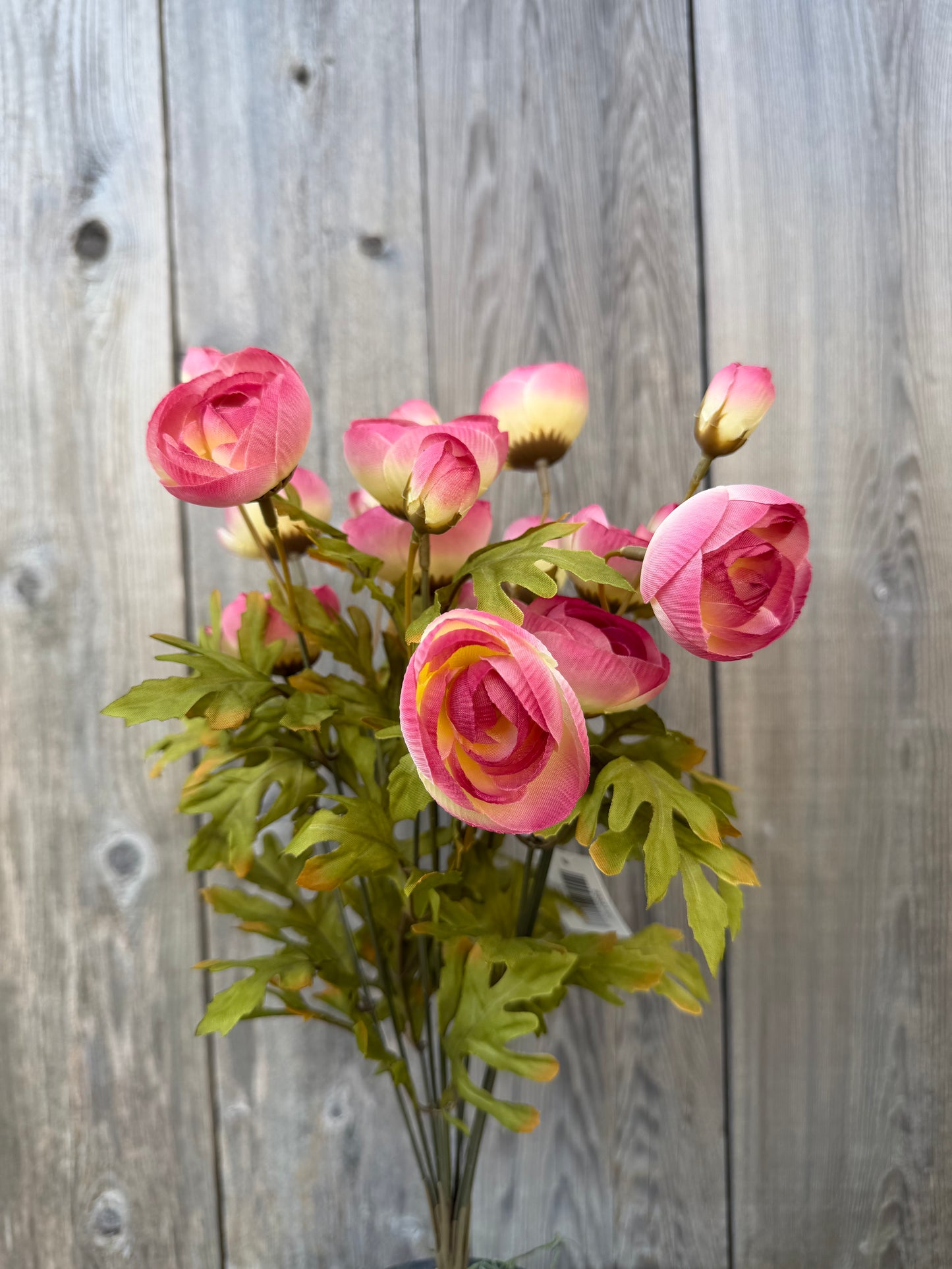 18 IN RANUNCULUS BUSH X 12   85887-MV