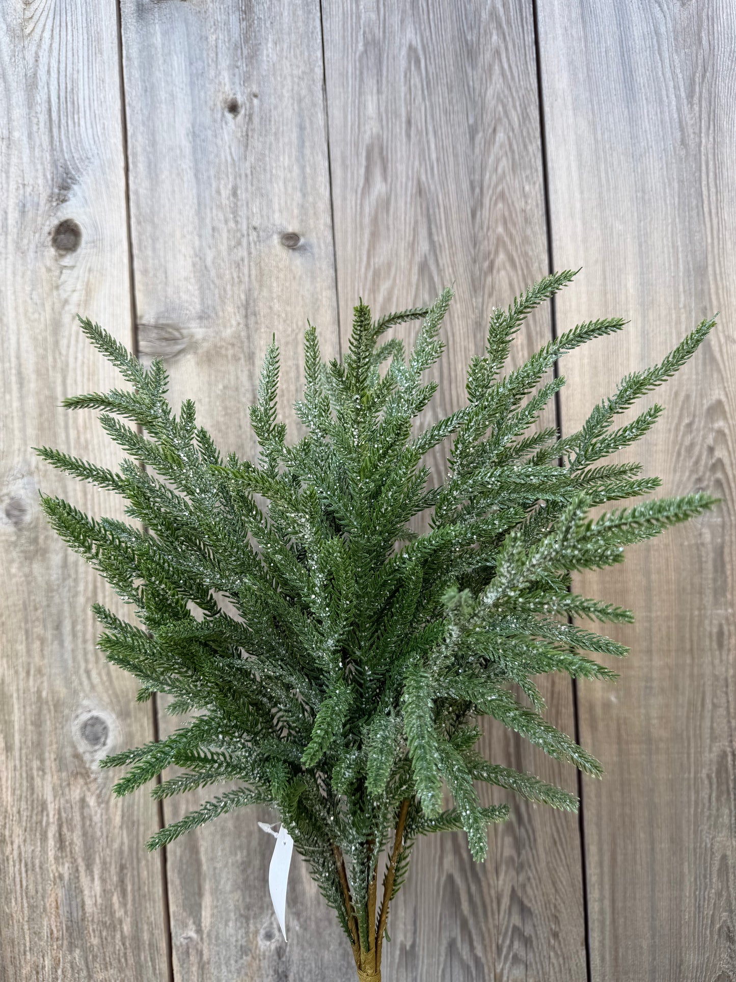 22 IN FROSTED NORFOLK PINE   65888-DK.GN