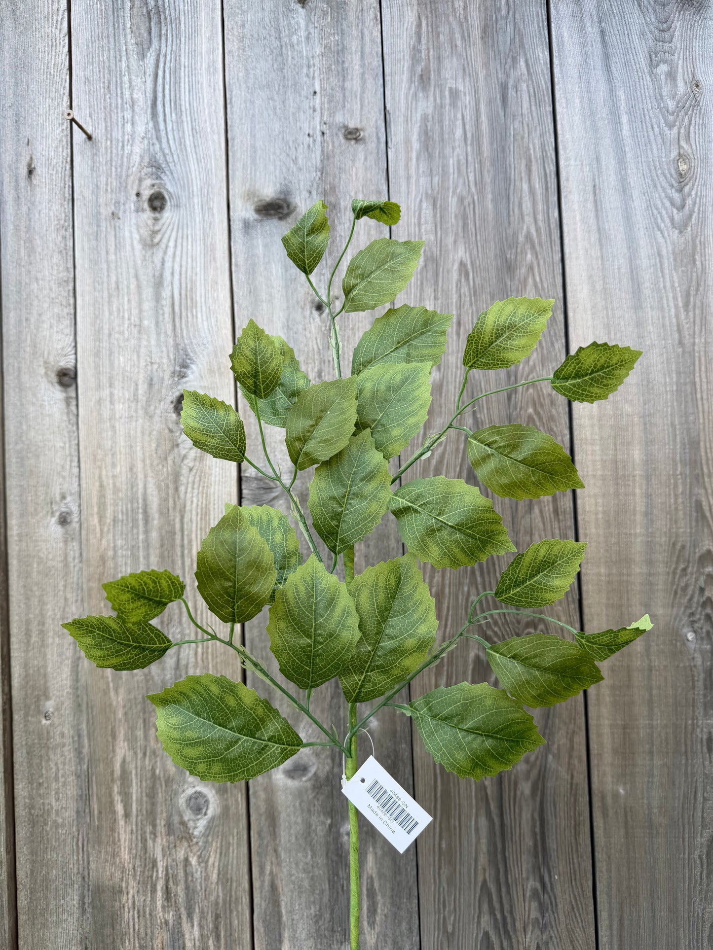 30.5 IN BEECH LEAF SPRAY   40488-GN