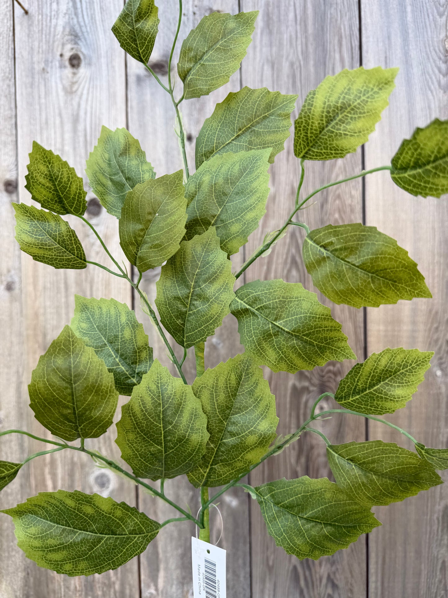 30.5 IN BEECH LEAF SPRAY   40488-GN