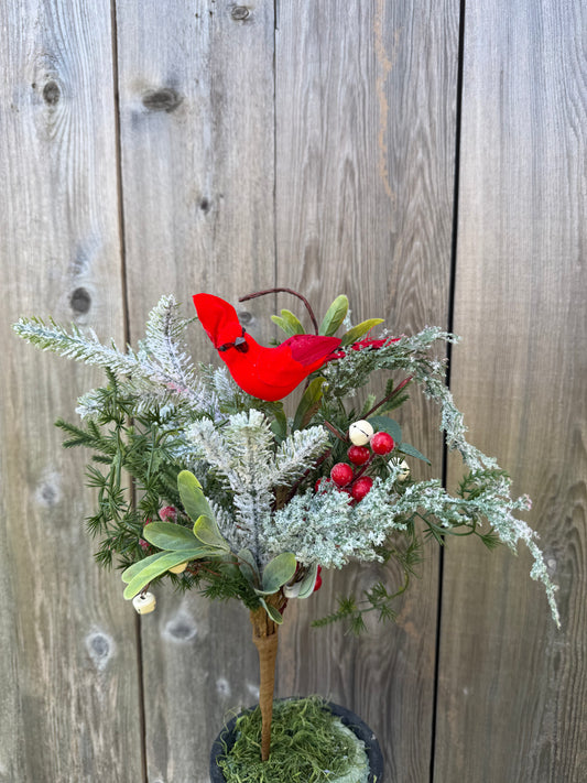 17" CARDINAL EVERGREEN SPRAY W/BERRIES   MTX76268