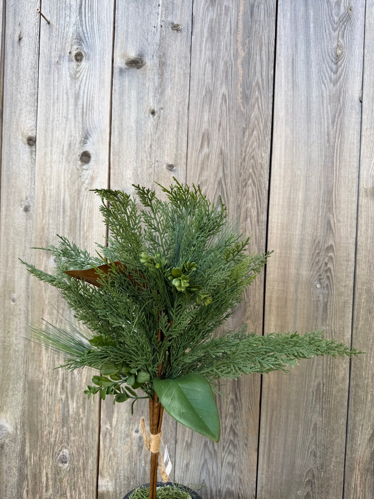 CEDAR/PINE/MAGNOLIA BUNDLE   XX8995