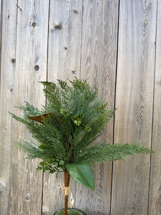 CEDAR/PINE/MAGNOLIA BUNDLE   XX8995