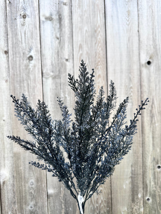 CYPRESS W GLITTER BUSH   84344-BK