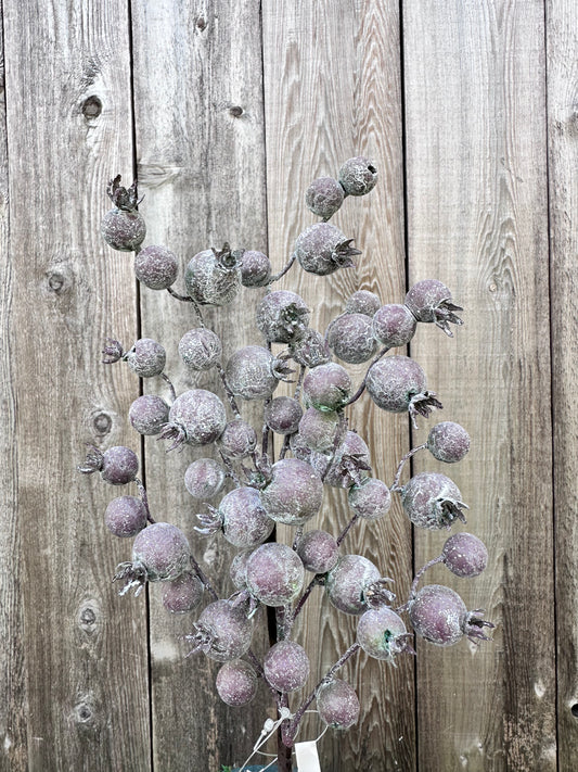 WEATHERED CRABAPPLE SPRAY   MTH12667