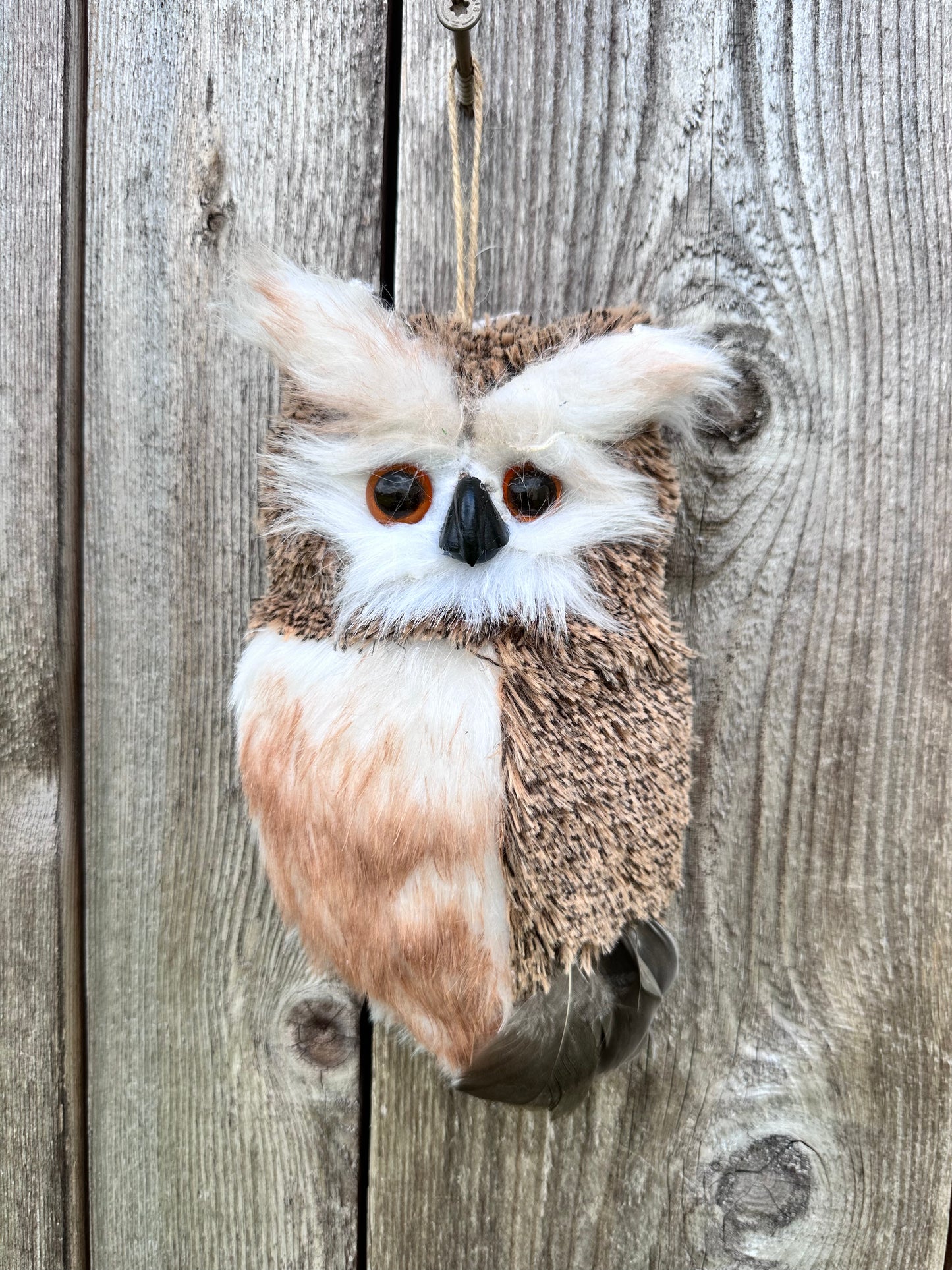 Thick Hanging Owl   B553