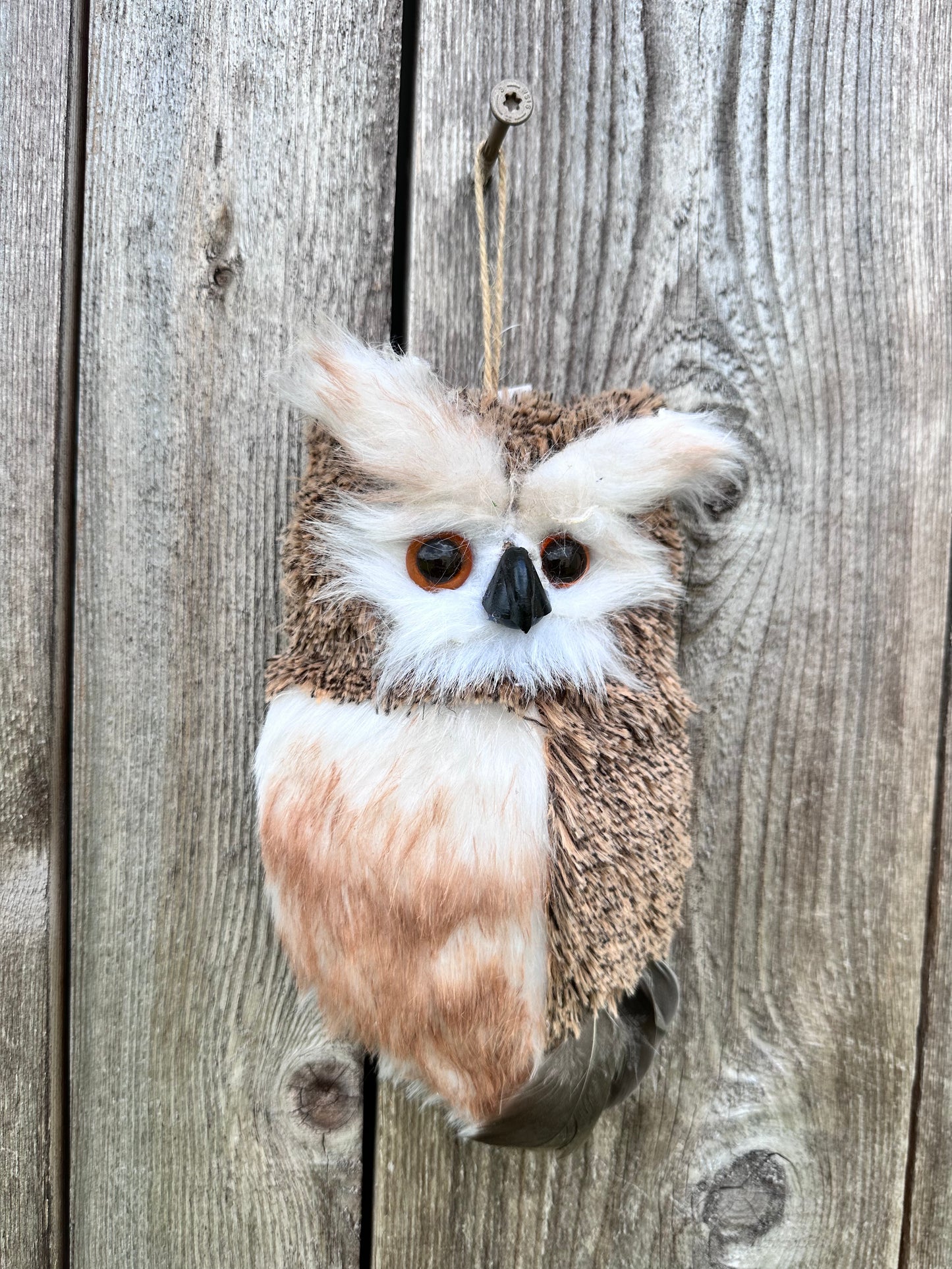 Thick Hanging Owl   B553
