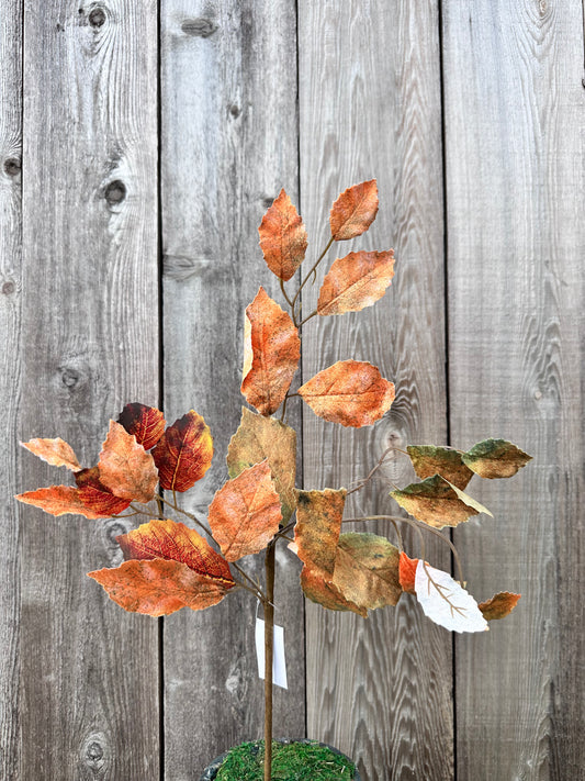 BIRCH LEAVES PICK   65188-OR