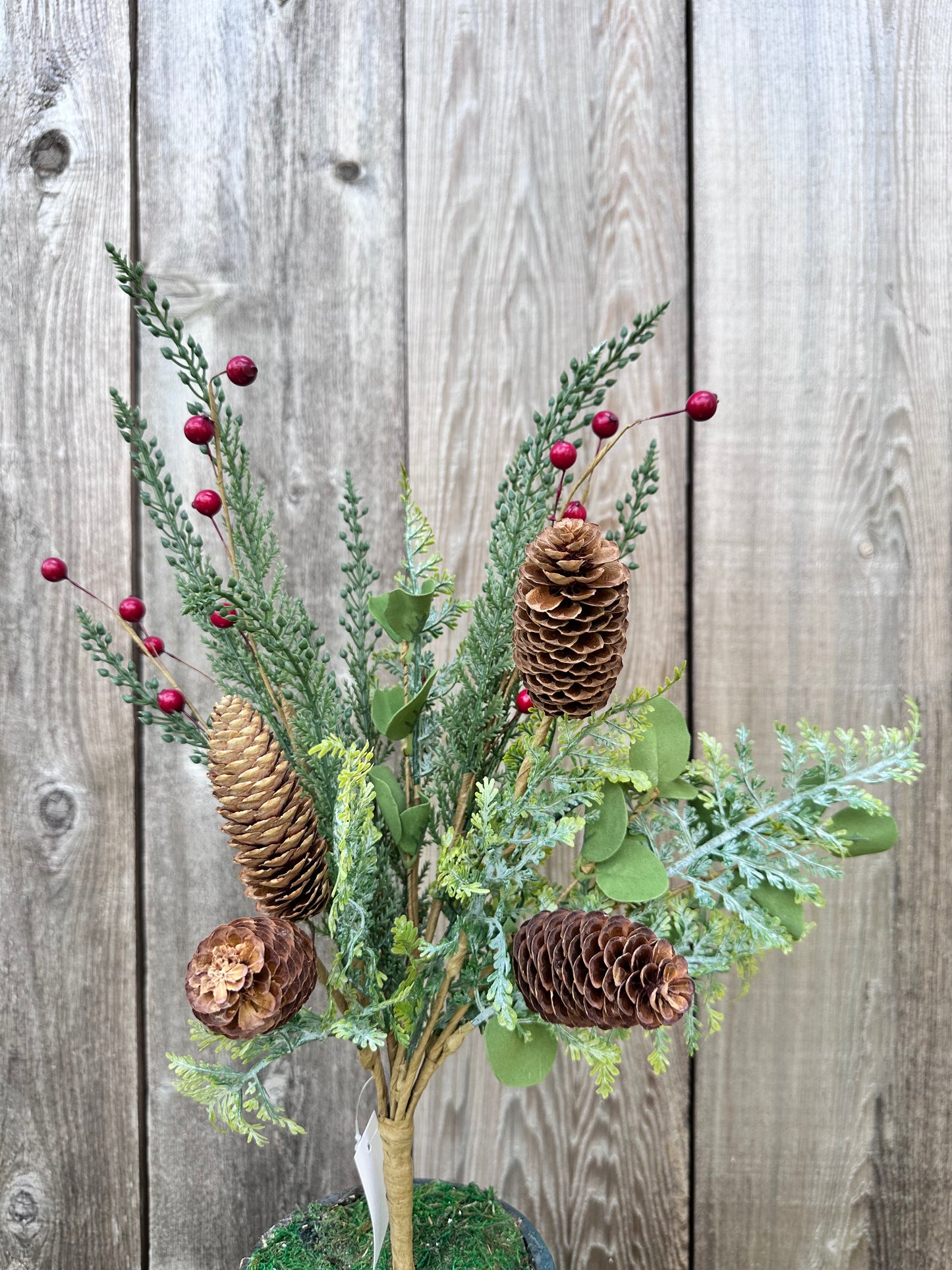 PINE PINECONE BERRY     65163