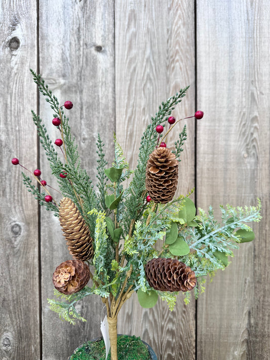 PINE PINECONE BERRY     65163