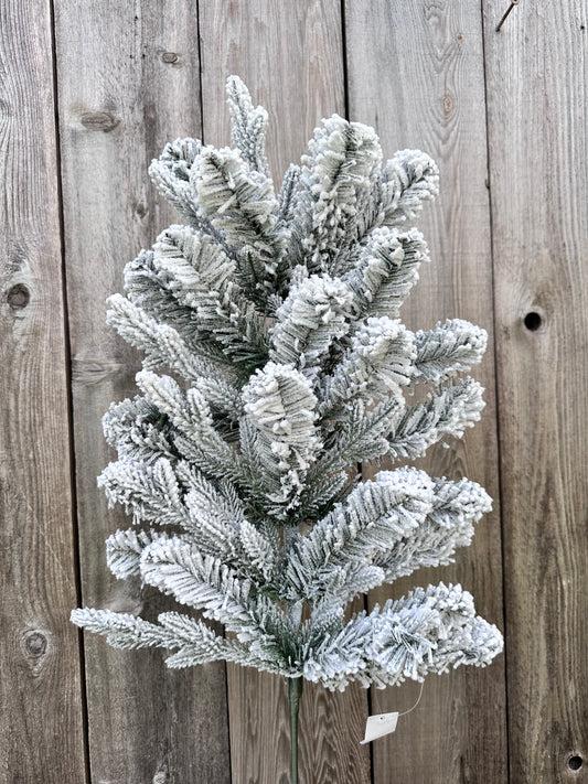 SNOWY SPRAY     85230