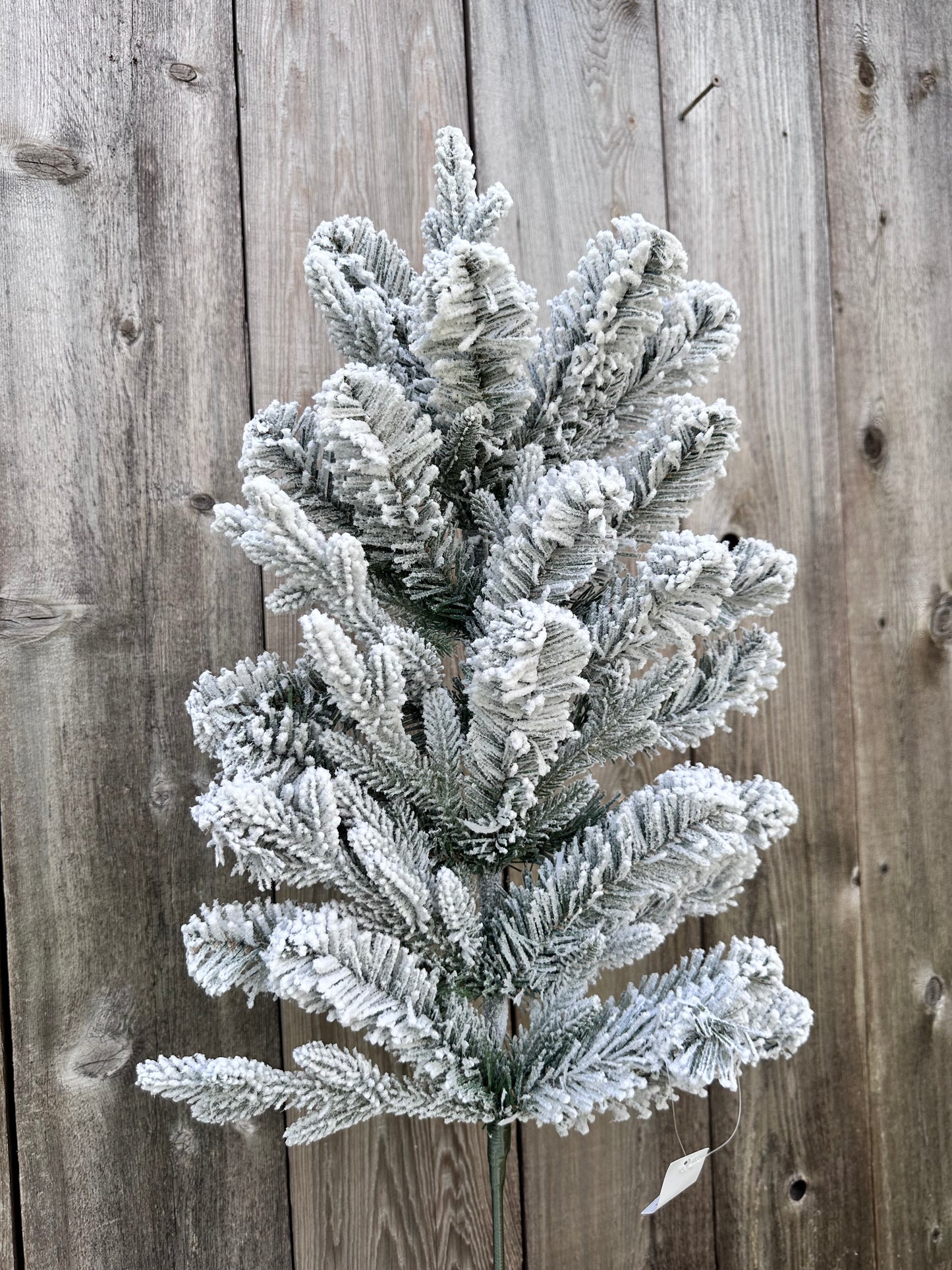 SNOWY SPRAY     85230